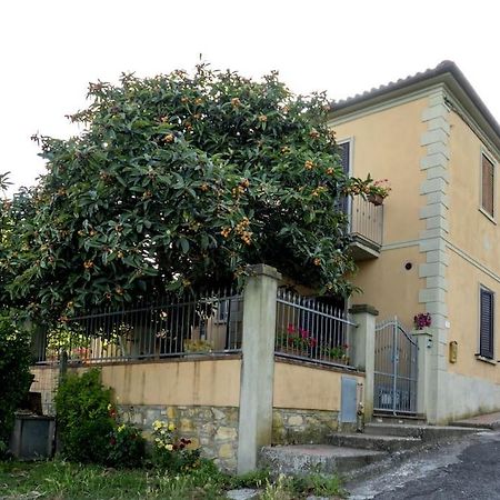 Toscana&Mare Cav La Lodola Villa Crocina Exterior photo